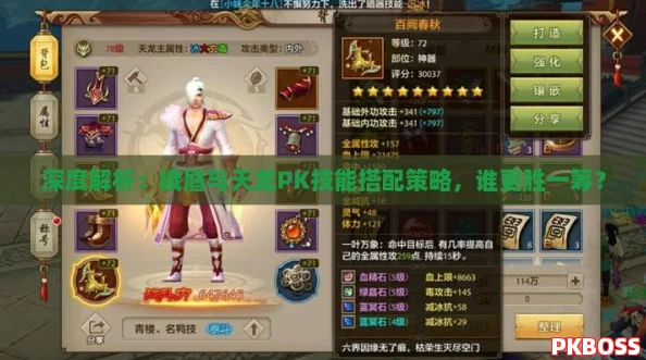 深度解析：峨眉与天龙PK技能搭配策略，谁更胜一筹？