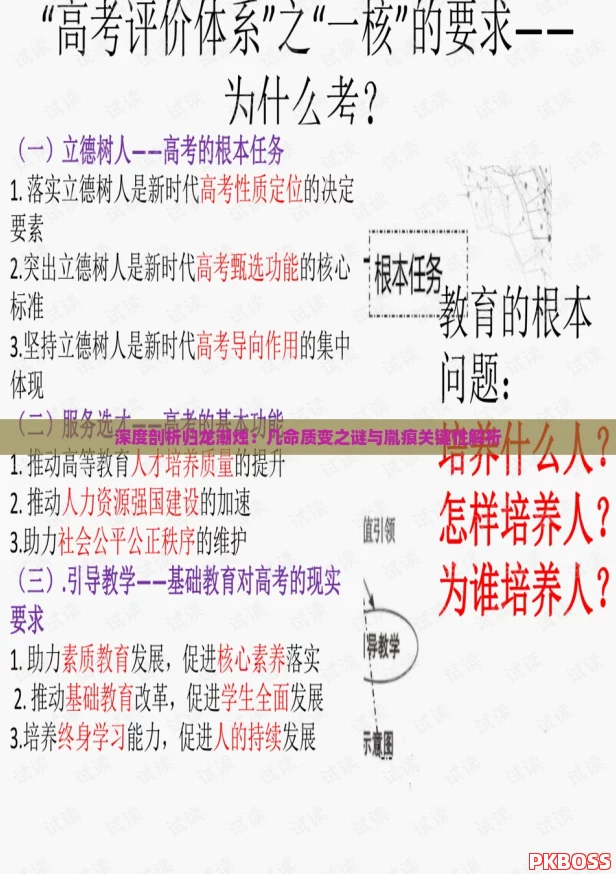 深度剖析归龙潮烛：几命质变之谜与胤痕关键性解析
