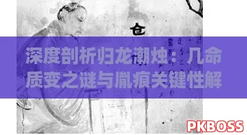 深度剖析归龙潮烛：几命质变之谜与胤痕关键性解析