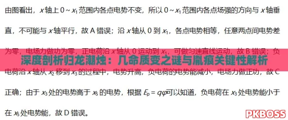 深度剖析归龙潮烛：几命质变之谜与胤痕关键性解析