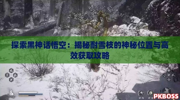 探索黑神话悟空：揭秘耐雪枝的神秘位置与高效获取攻略