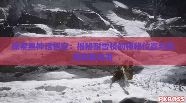 探索黑神话悟空：揭秘耐雪枝的神秘位置与高效获取攻略