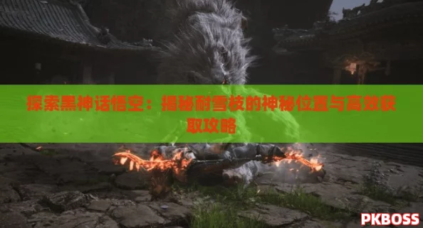 探索黑神话悟空：揭秘耐雪枝的神秘位置与高效获取攻略