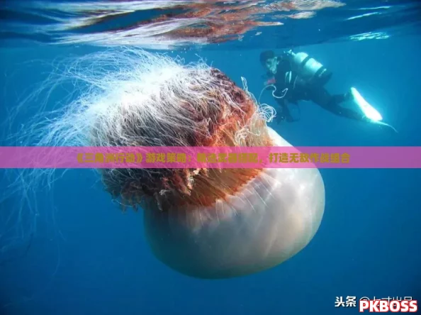 《三角洲行动》游戏策略：精选武器搭配，打造无敌作战组合