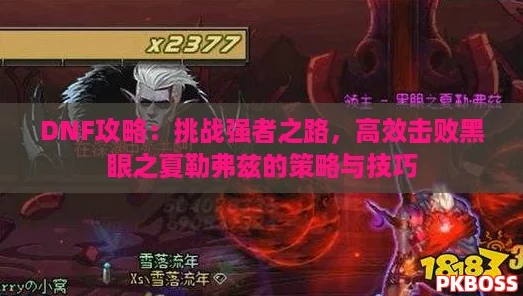 DNF攻略：挑战强者之路，高效击败黑眼之夏勒弗兹的策略与技巧