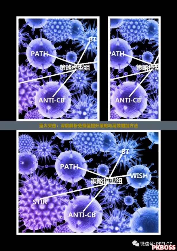 萤火突击：深度解析免疫值提升策略与高效增加方法
