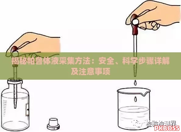 揭秘帕鲁体液采集方法：安全、科学步骤详解及注意事项