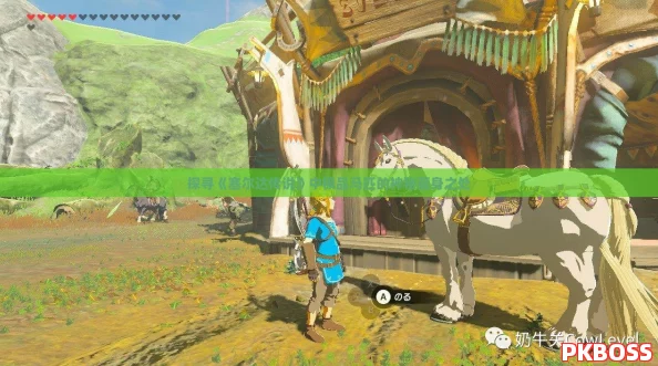 探寻《塞尔达传说》中极品马匹的神秘藏身之处