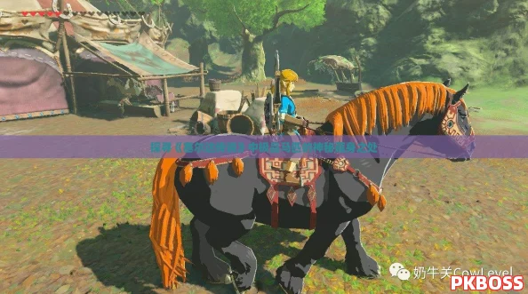 探寻《塞尔达传说》中极品马匹的神秘藏身之处