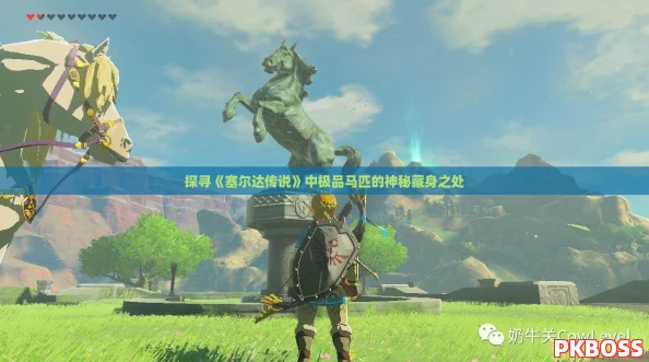 探寻《塞尔达传说》中极品马匹的神秘藏身之处